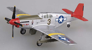 P-51 Mustang Scale Model Plane
